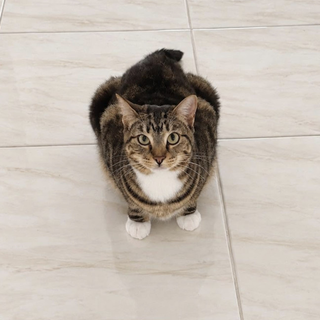 Photo of Nellie