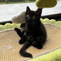 Photo of Spud