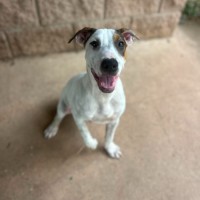Photo of Harley