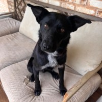 Photo of Bob