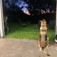 Photo of Roxy