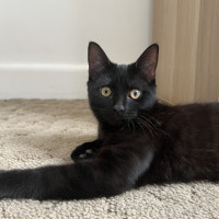 Photo of Ralph