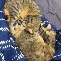 Photo of Barney & Fred