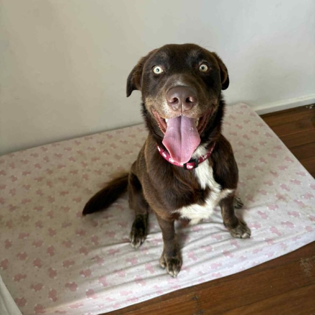Photo of Ace