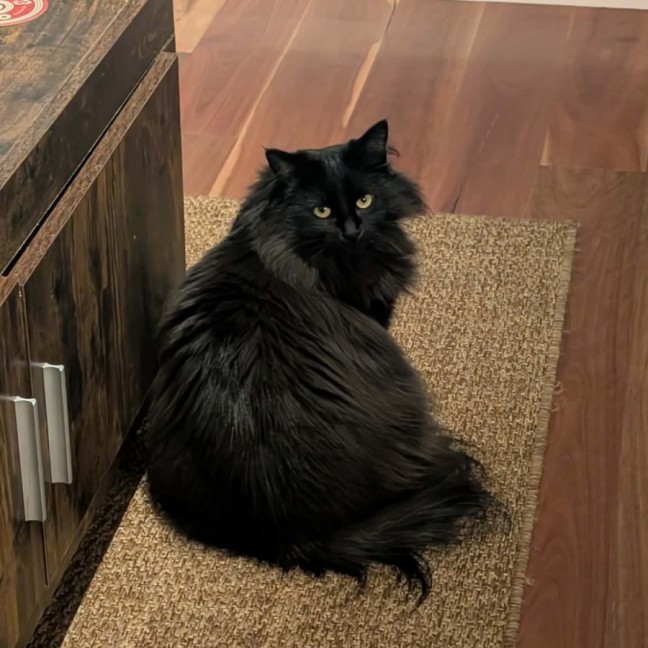 Photo of Donna 🖤
