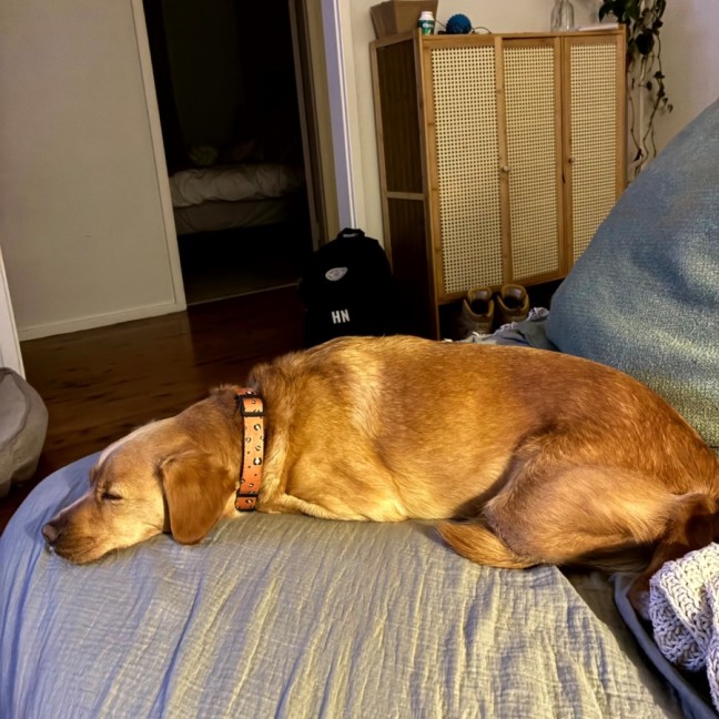 Photo of Happy 