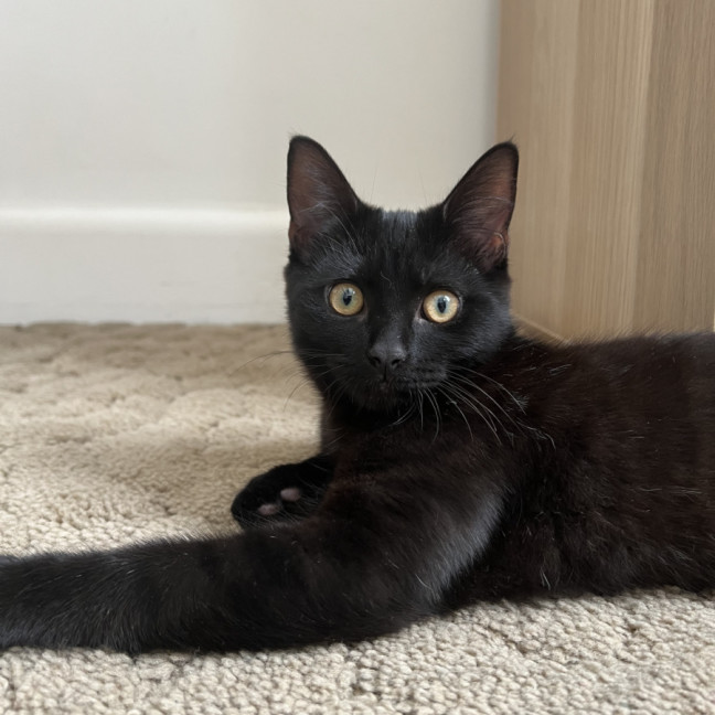 Photo of Ralph
