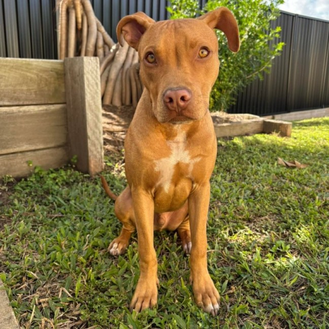 Photo of Murphy