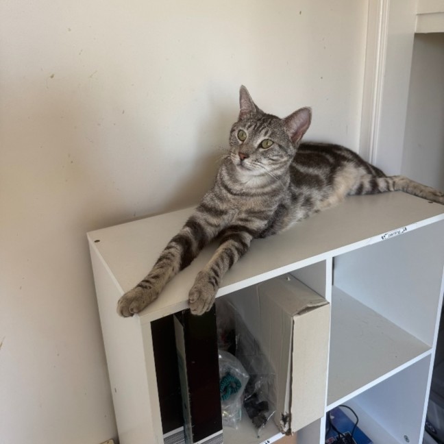 Photo of Leo