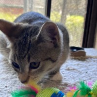 Photo of Sophie 😻