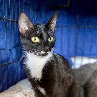 Photo of Edwina & Trixie