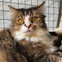 Photo of Molly And Maddox 