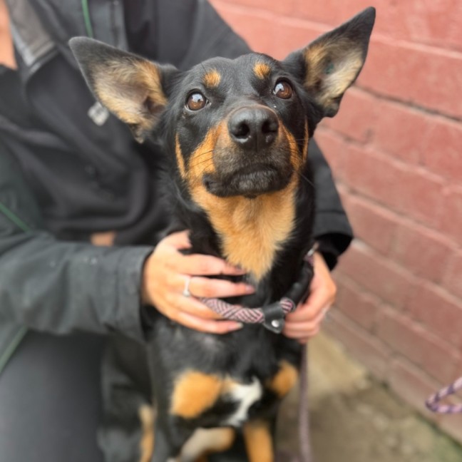 Photo of Coco