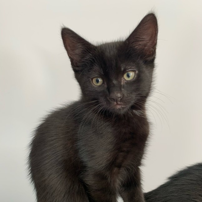 Photo of Giorgio 💙