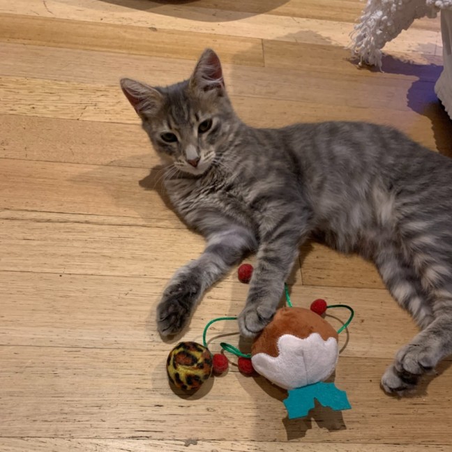 Photo of Phineas & Foxy