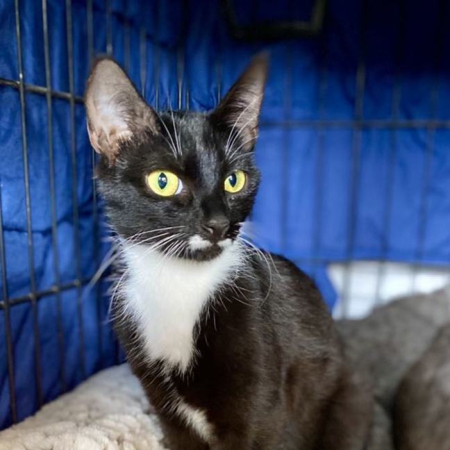 Photo of Edwina & Trixie