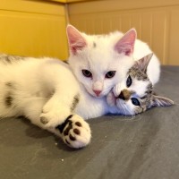 Photo of Emergency Exit