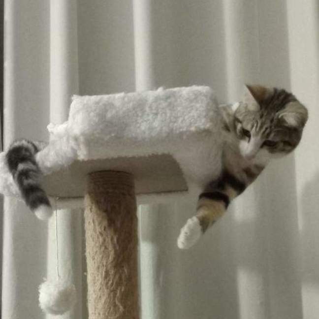 Photo of Molly