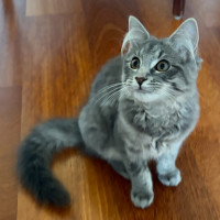 Photo of Londyn 😻💕💕😻