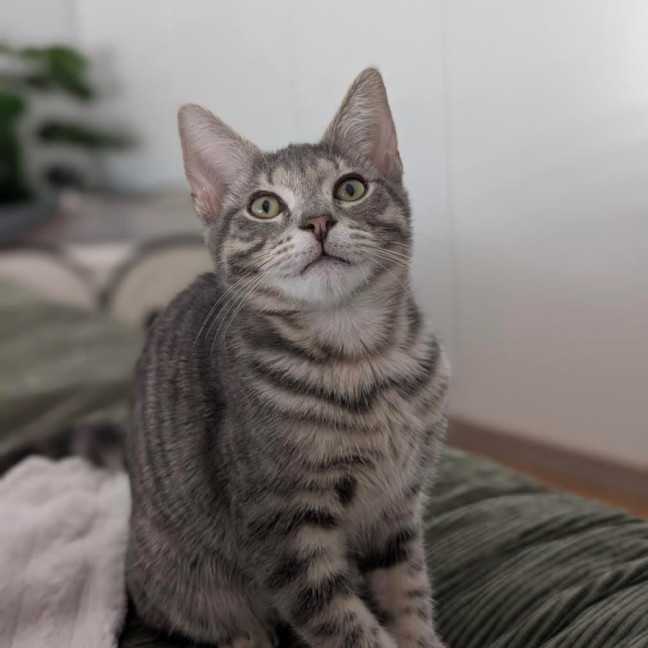 Photo of Helvetica