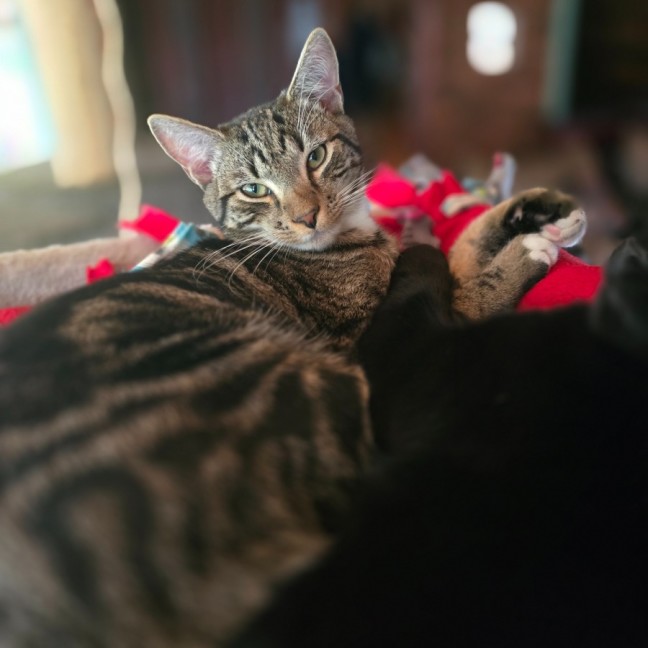 Photo of Bill