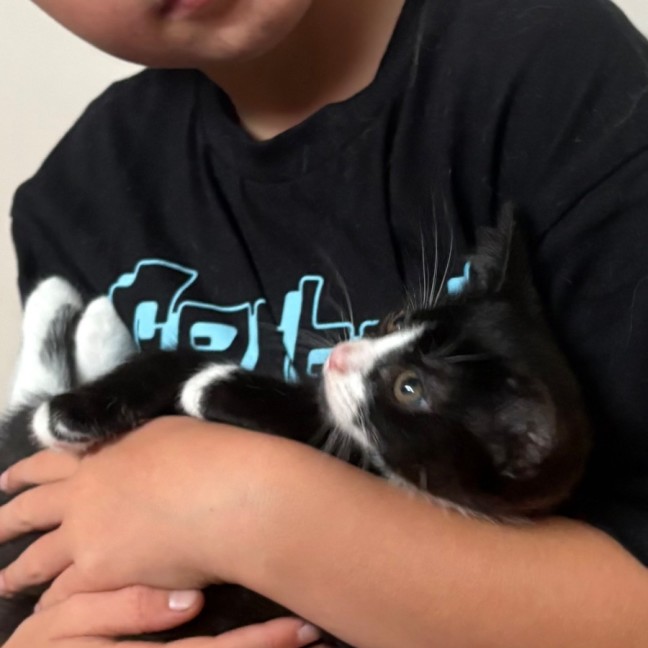 Photo of Archie 🖤🤵‍♂️