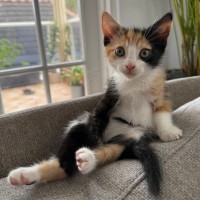 Photo of Wendy