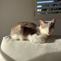 Photo of Jelly Bean