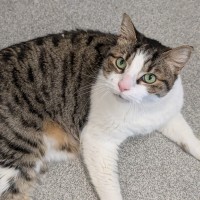 Photo of Byron 