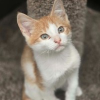Photo of Quinn