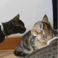 Photo of Lucy & Raff