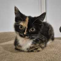 Photo of Lulu