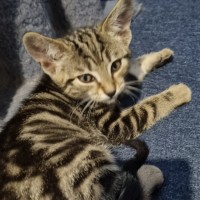 Photo of Ezra