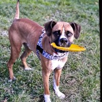 Photo of Arlo