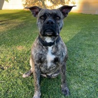 Photo of Lulu