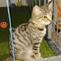 Photo of Ares