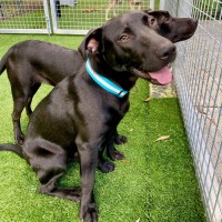 Photo of D1044 Marley