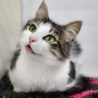 Photo of 🕶️ Ruth 6779 🕶️