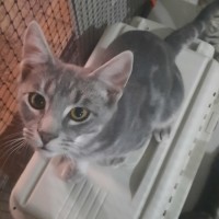 Photo of Muichiro