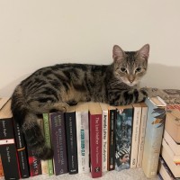 Photo of Lizzie 