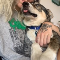 Photo of Snickers