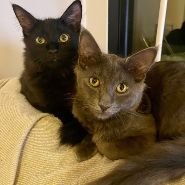 Photo of Charlie King