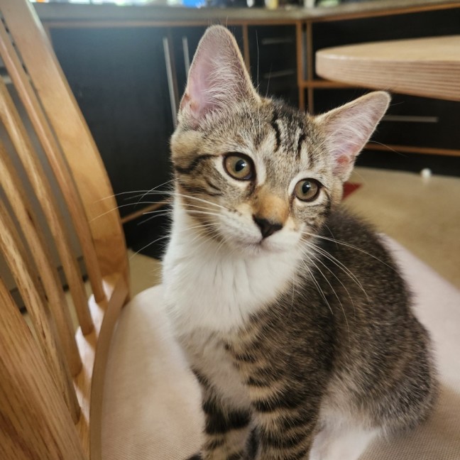 Photo of Martha