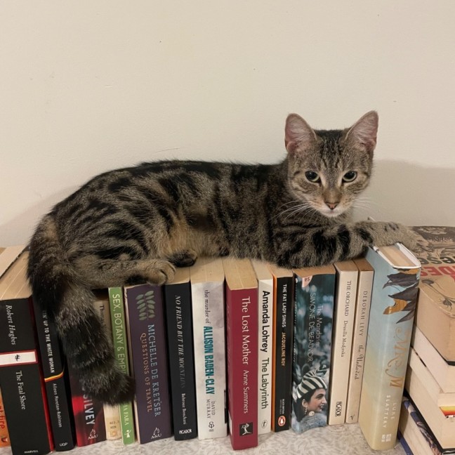 Photo of Lizzie 