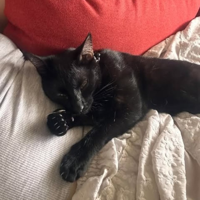 Photo of Nix
