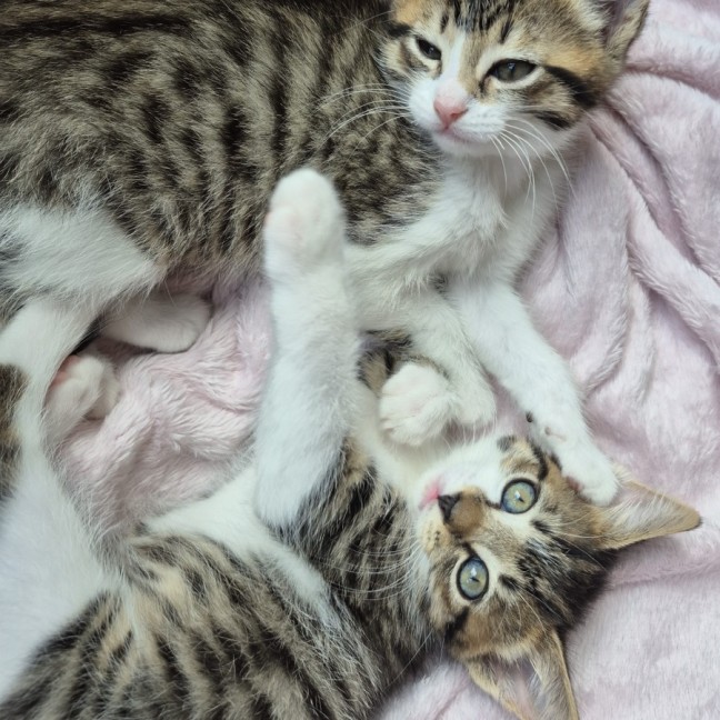 Photo of Amber & Arlee 🌷🌷