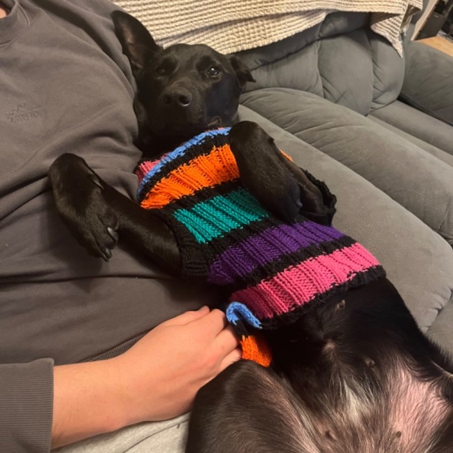 Photo of Karma