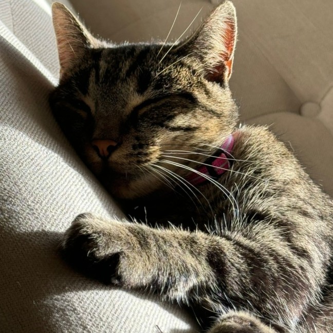 Photo of Simone