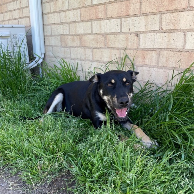 Photo of Bess
