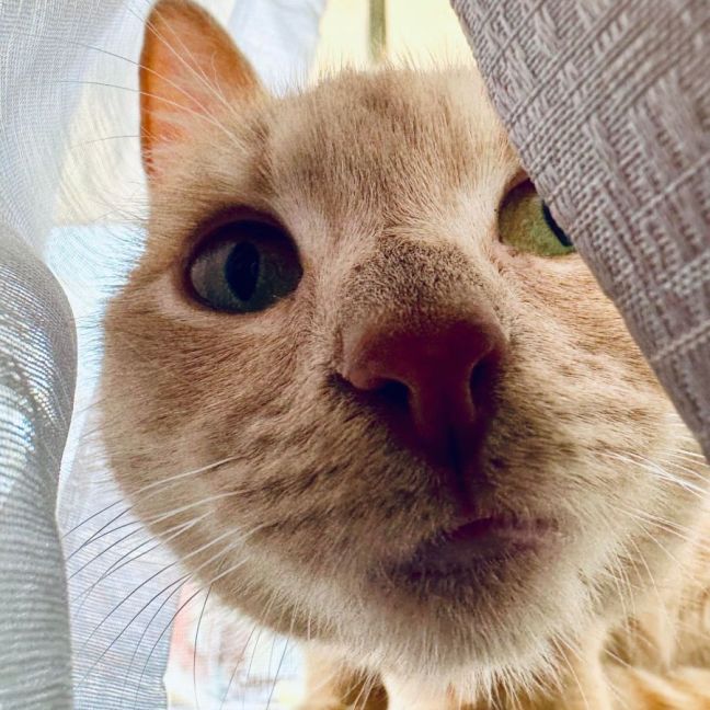 Photo of Abigail   Located In Fairfield